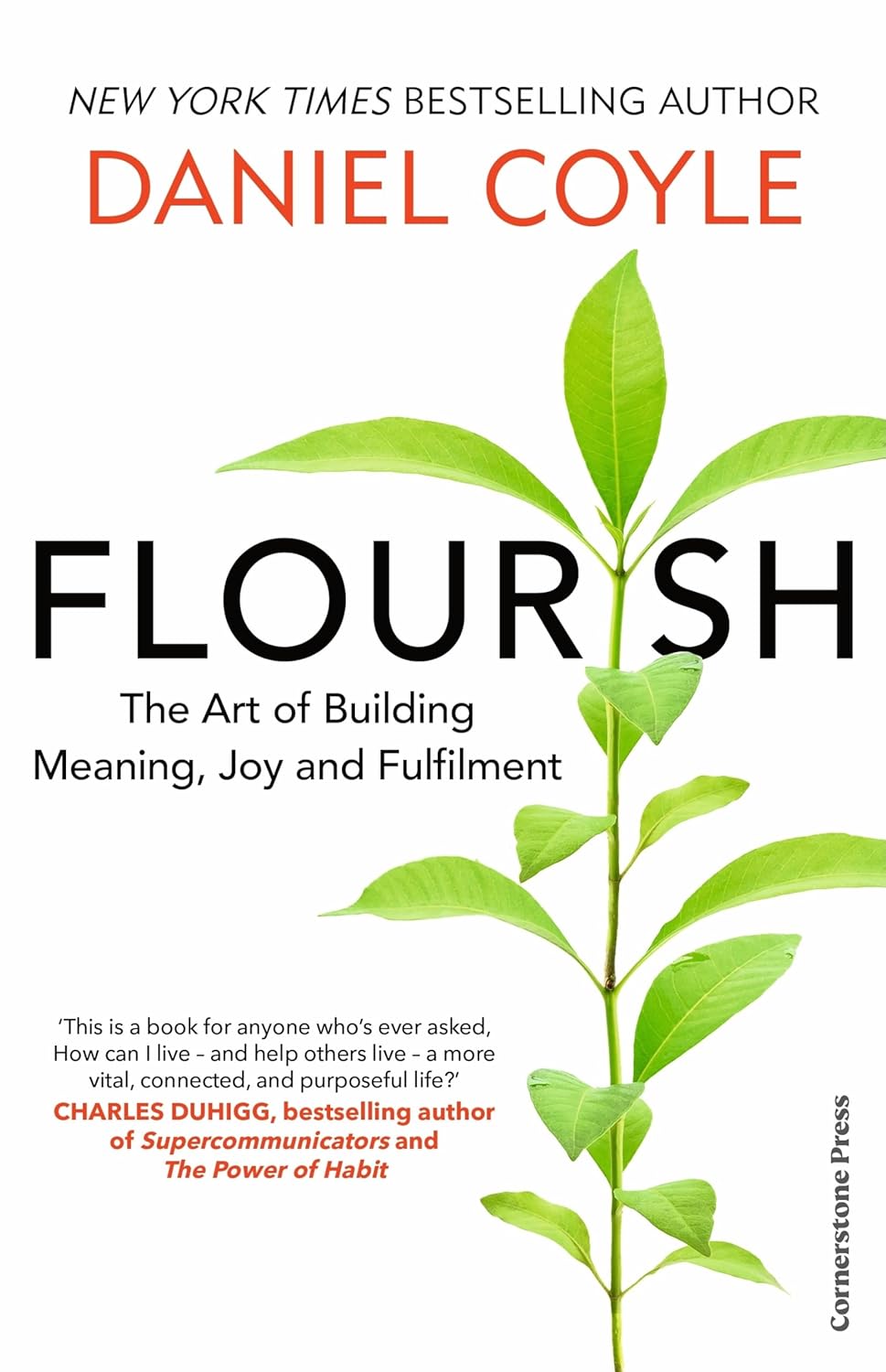 Flourish by Daniel Coyle