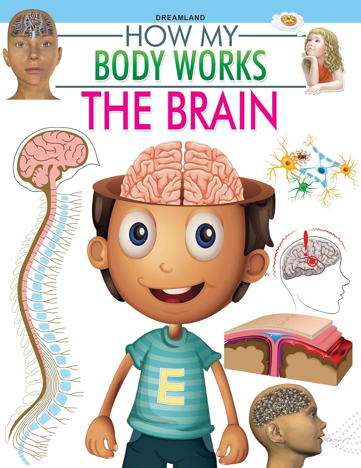 The Brain