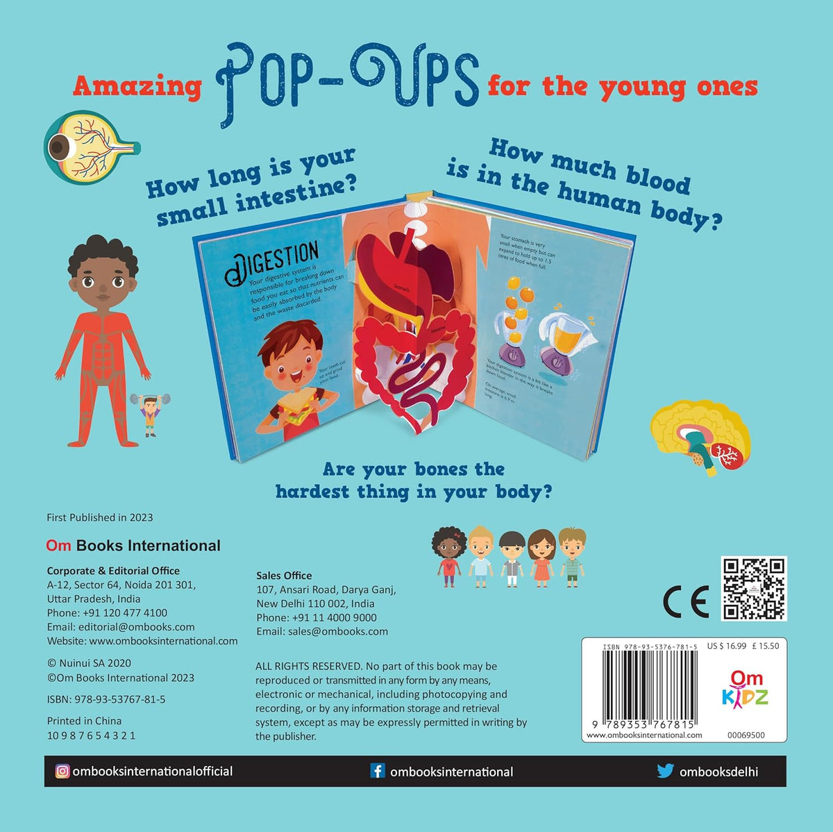 Pop Up Human Body