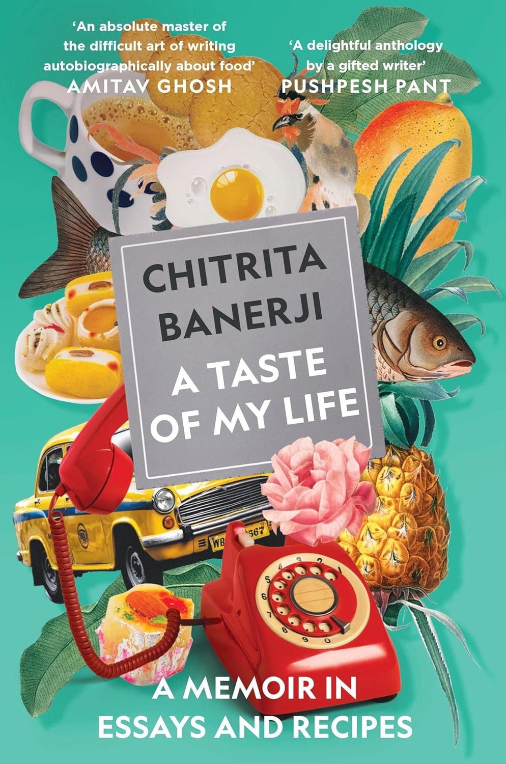 A Taste of My Life by Chitrita Banerji – A Lyrical Memoir of Food, Memory, and Identity | Pan MacMillan (Picador)