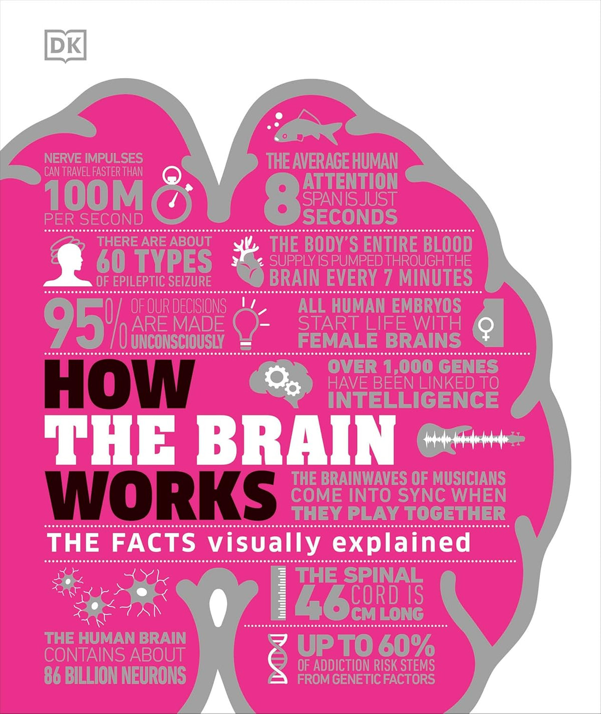 How the Brain Works – A Fascinating Guide to the Mind’s Inner Workings | DK Publishing