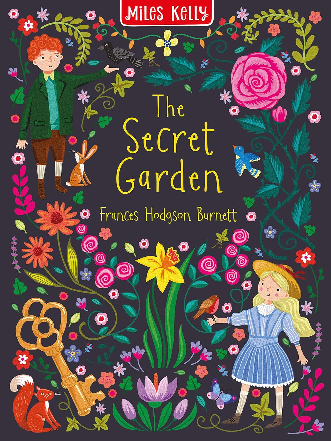 Illustrated Classic Collection Slipcase by Miles Miles Kelly