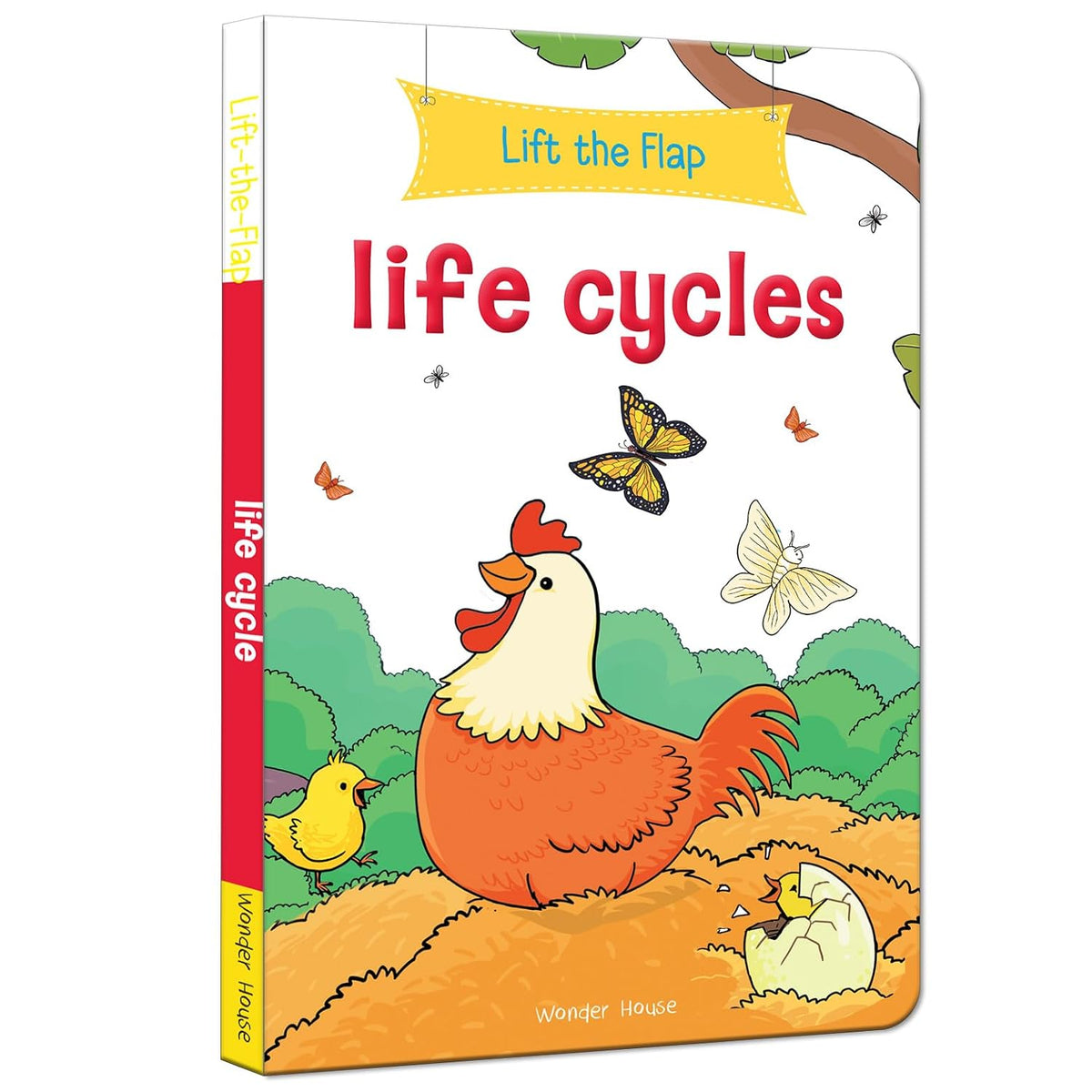 Lift The Flap: Life Cycles By Wonder House Books