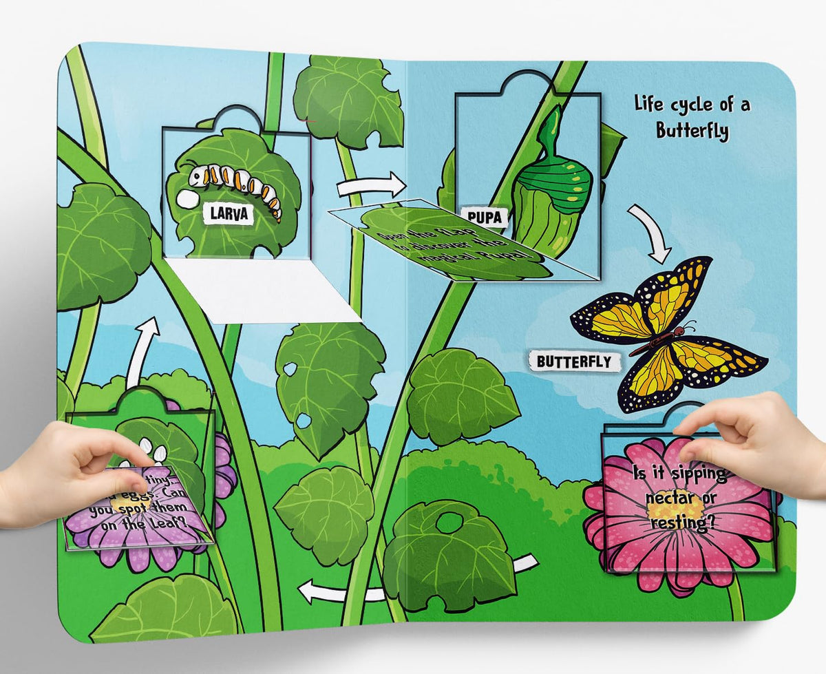 Lift The Flap: Life Cycles By Wonder House Books