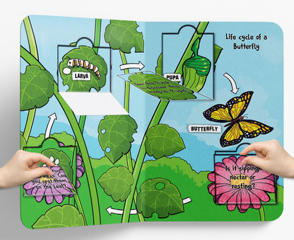 Lift The Flap: Life Cycles By Wonder House Books