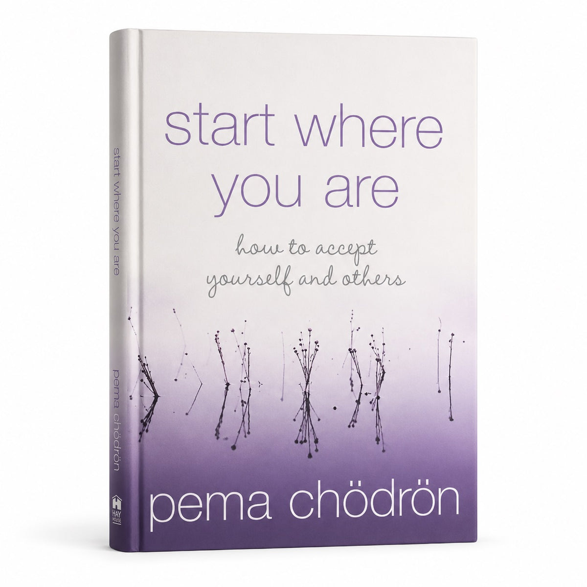 Start Where You Are: A Guide to Compassionate Living