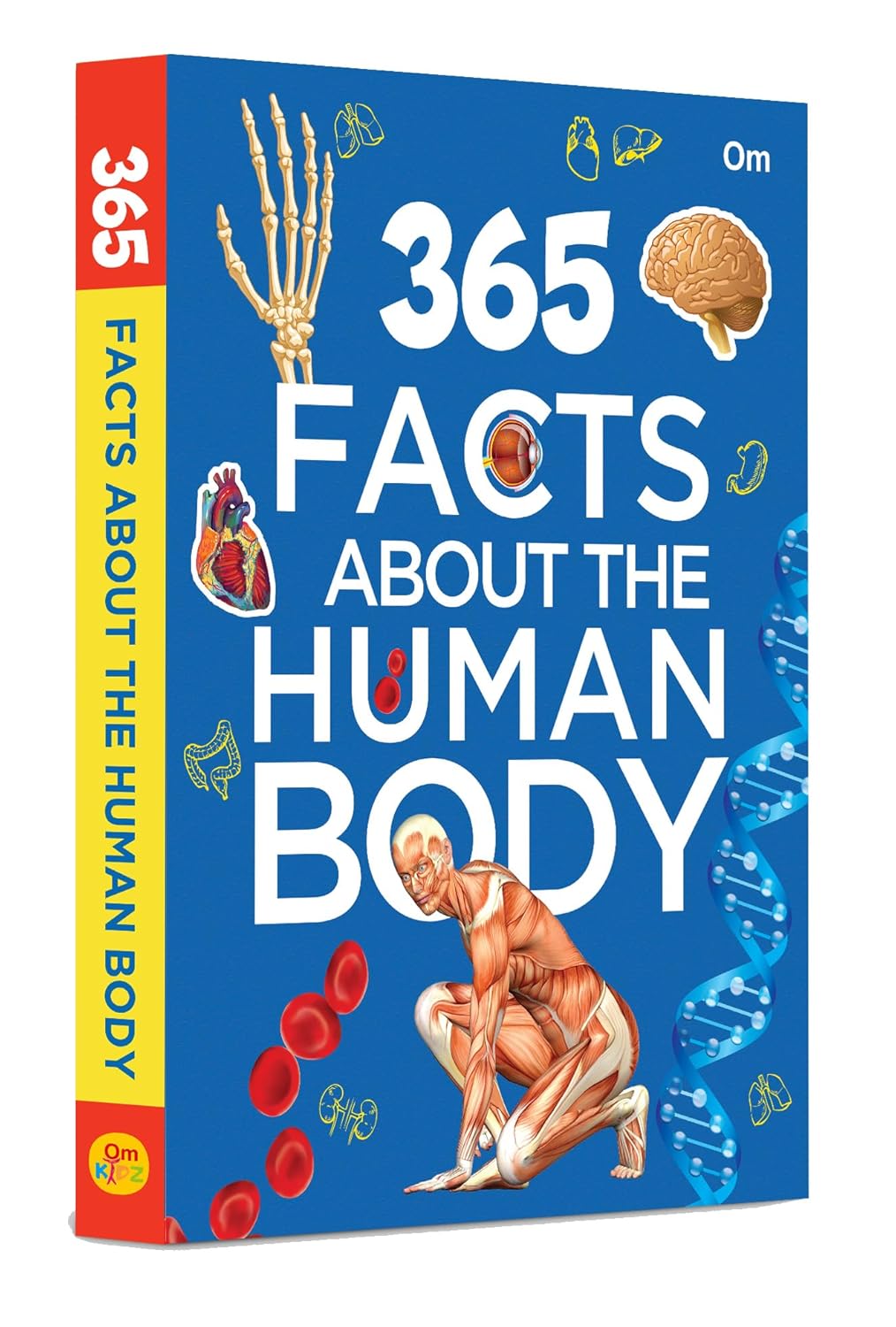 365 Facts About The Human Body