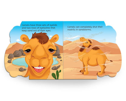 Camel