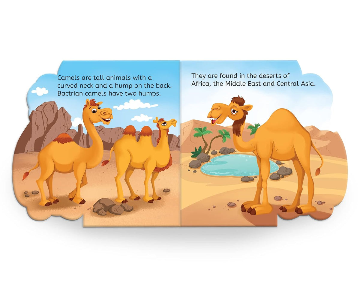 Camel