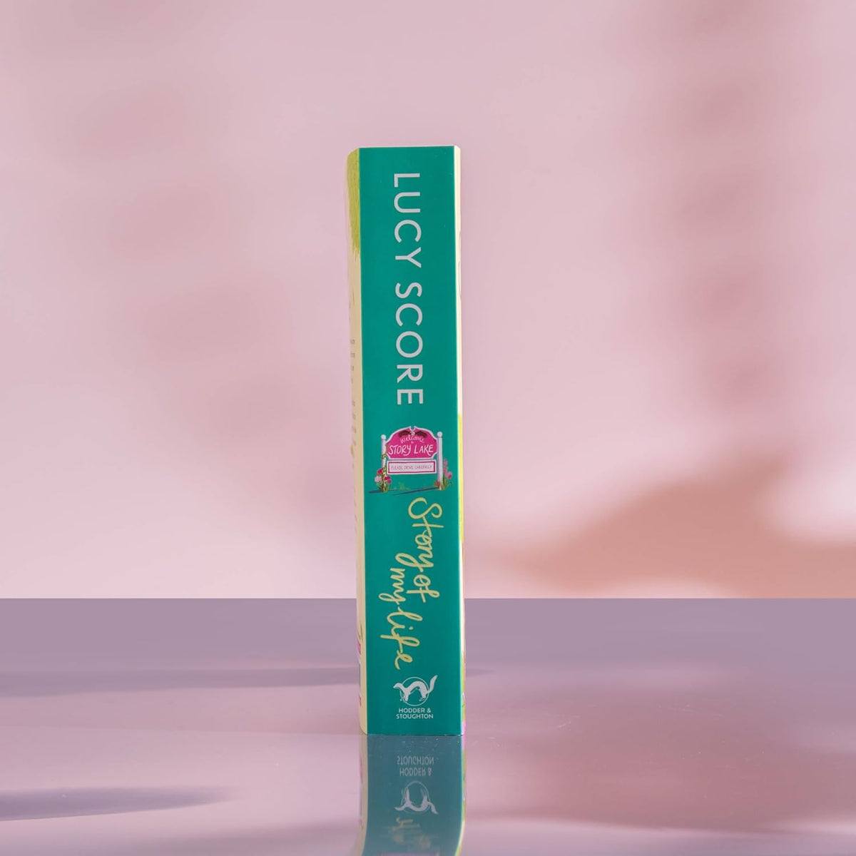 Story Of My Life by Lucy Score