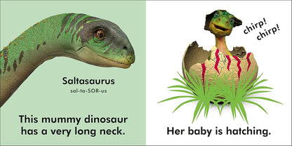 Baby Dinosaur