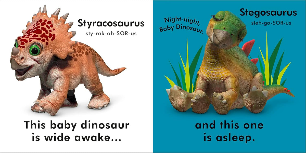 Baby Dinosaur