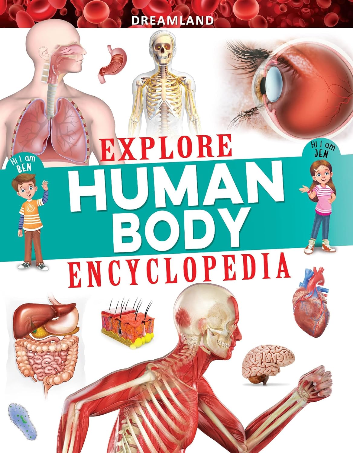 Explore Human Body Encyclopedia – A Fascinating Guide to the Human Body | Dreamland Publications