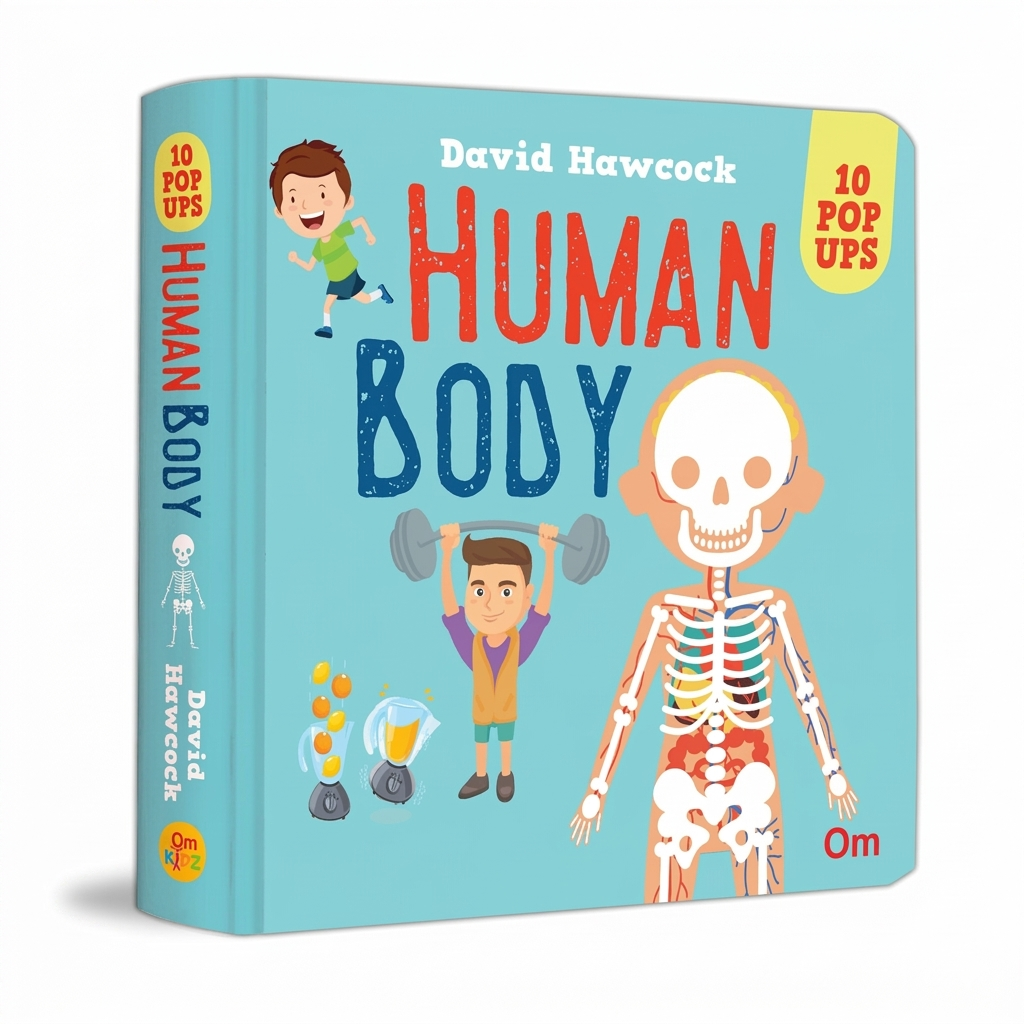Pop Up Human Body