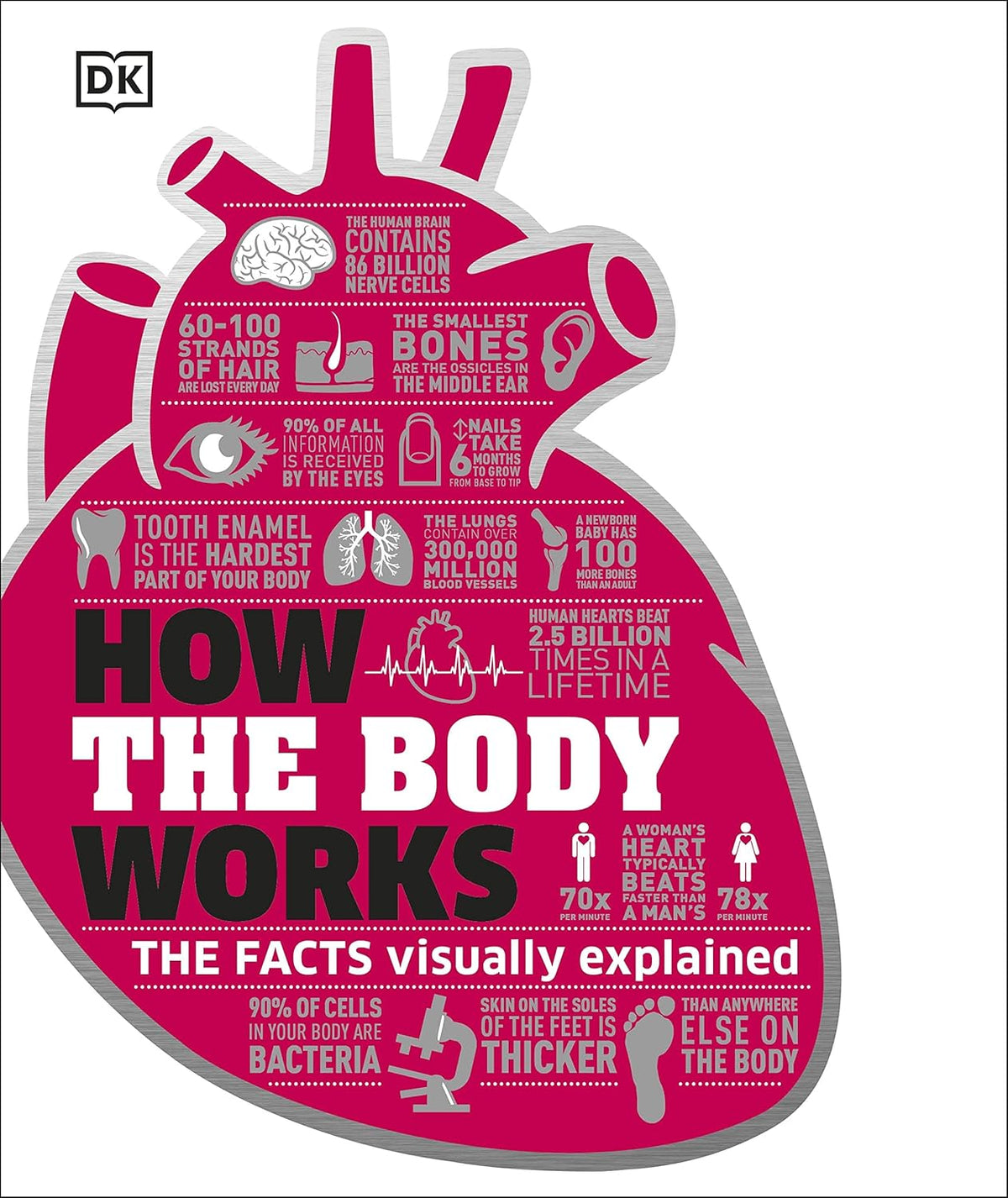 How the Body Works – The Facts Visually Explained by DK